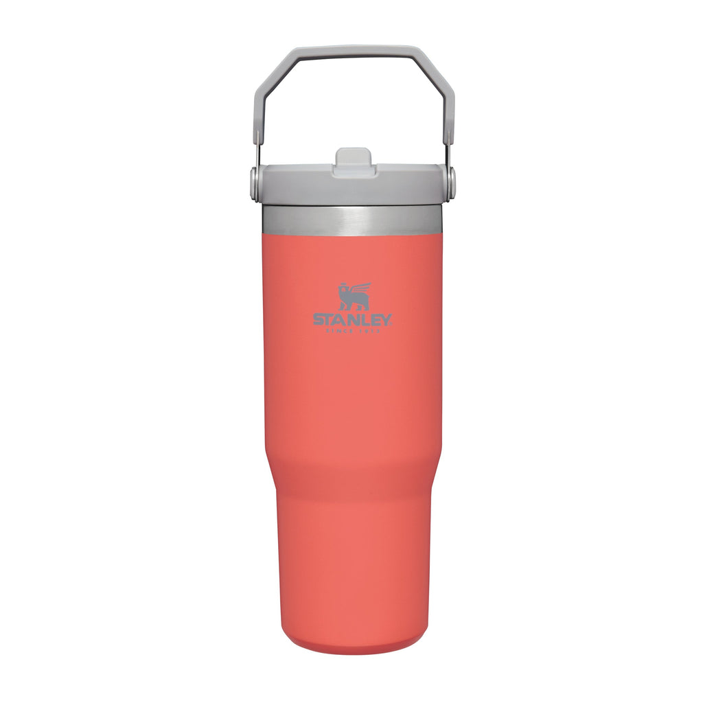 IceFlow™ Flip Straw 2.0 Tumbler | 0.89L - Stanley Create