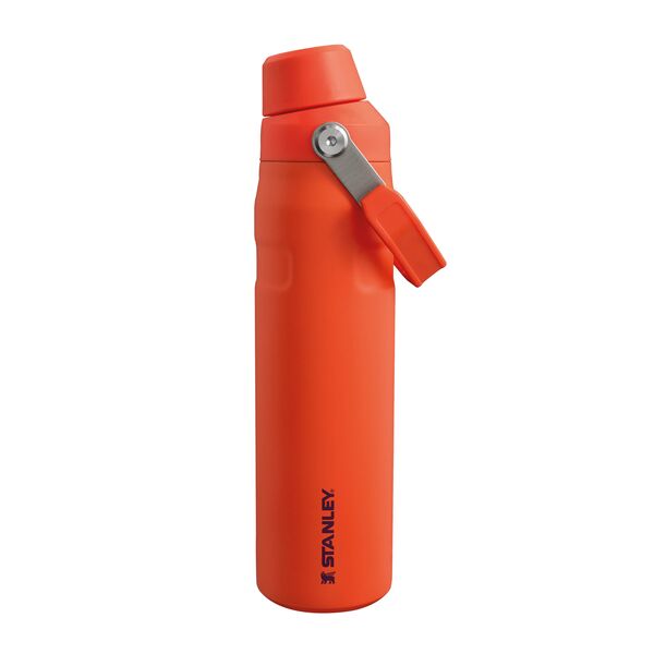 IceFlow™ Fast Flow Bottle | 0.59L