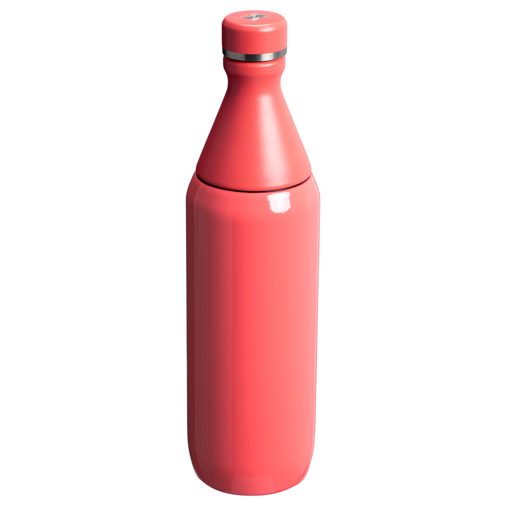 All Day Slim Bottle | 0.59L - Stanley Create