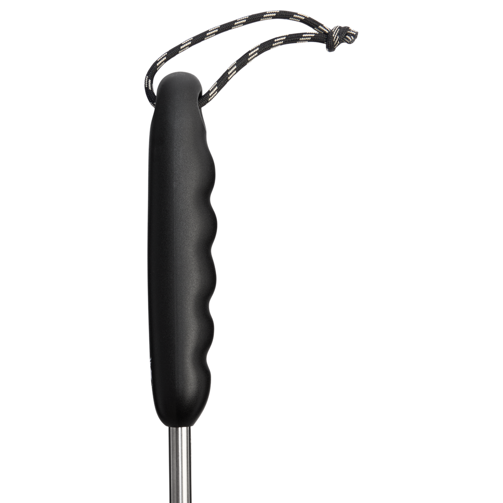 Classic Cleaning Brush