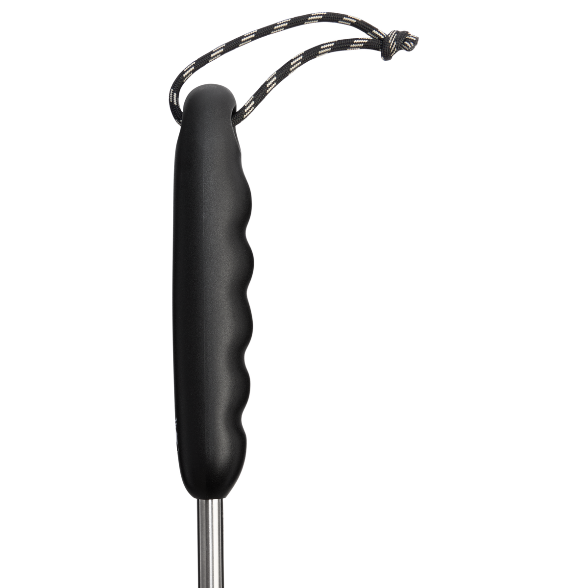 Classic Cleaning Brush