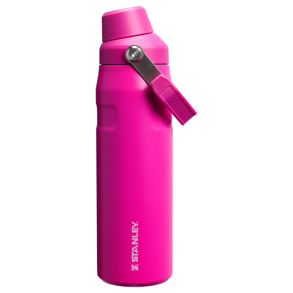 Iceflow™ Bottle Fast Flow | 0.71L - Stanley Create