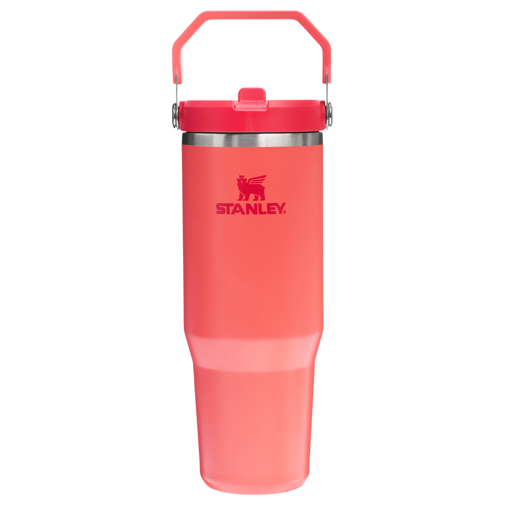 IceFlow™ Flip Straw 2.0 Tumbler | 0.89L - Stanley Create