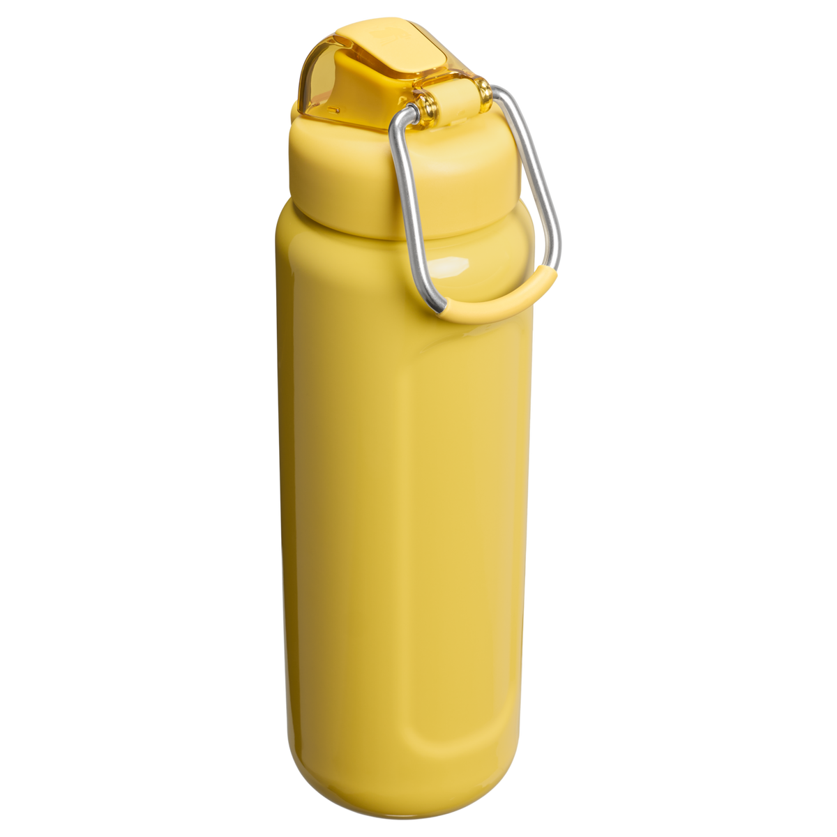 Classic Wellspring Bottle | 0.71L - Stanley Create